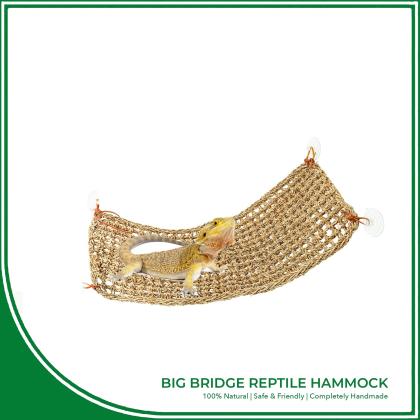 Repptile Hammock