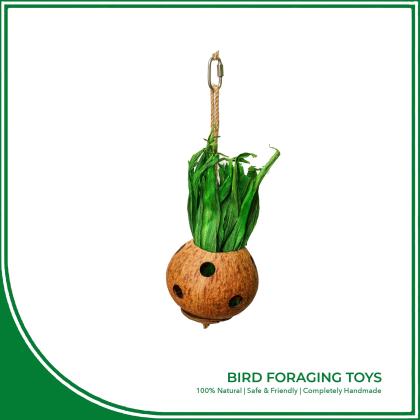 Coconut Bird Nest & Toys  
