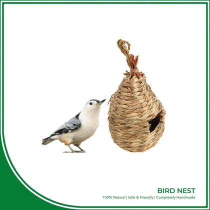 Grass Bird Nest 
