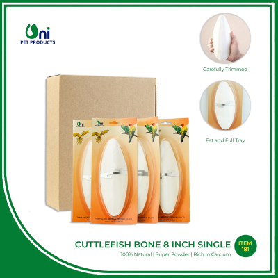 Cuttlebone 8 inch - single