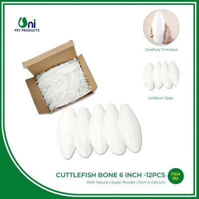 Cuttlebone 6 inch, 12 pcs /small box
