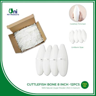 Cuttlebone 8 inch, 12 pcs /small box