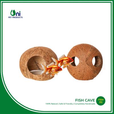 Fish cave
