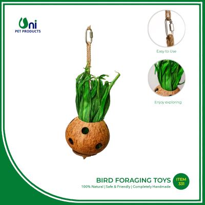 Bird foraging toys