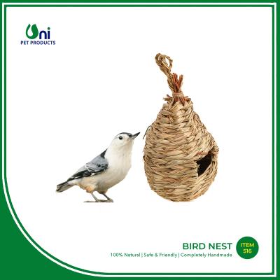 Bird nest